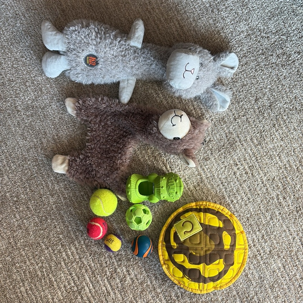 Dog Toy Bundle